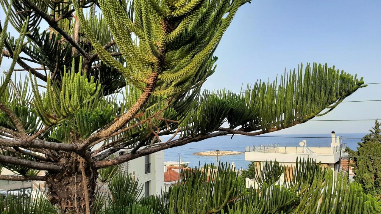 Keratea Seaside Kaki Thalassa מראה חיצוני תמונה